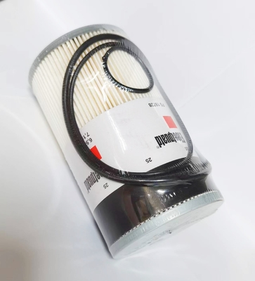 FS19728 P550736 Kraftstoffpapierkernfilter für Bagger